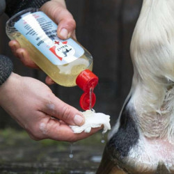 LOTION LAVANTE MED - LEOVET